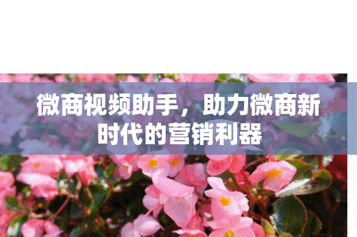 助力微商新时代的营销利器图片