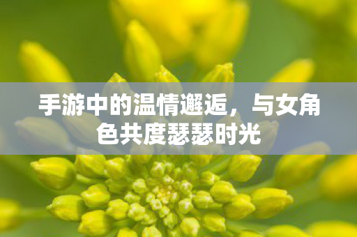 与女角色共度瑟瑟时光图片