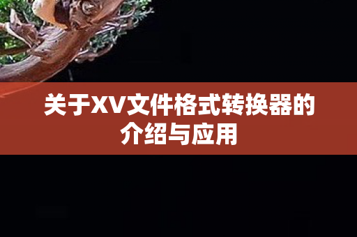 关于XV文件格式转换器的介绍与应用图片