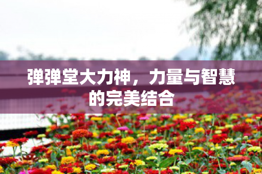 力量与智慧的完美结合图片
