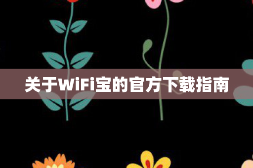 关于WiFi宝的官方下载指南图片