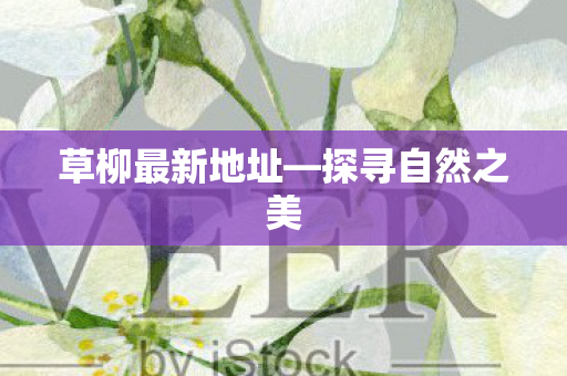 草柳最新地址图片