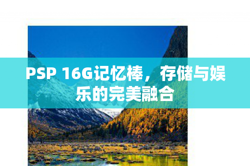 PSP 16G记忆棒图片