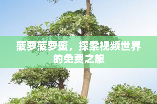 探索视频世界的免费之旅图片
