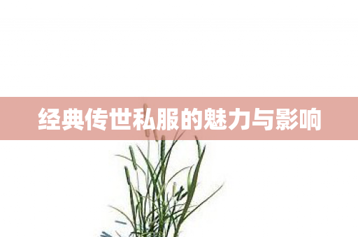 经典传世私服的魅力与影响图片