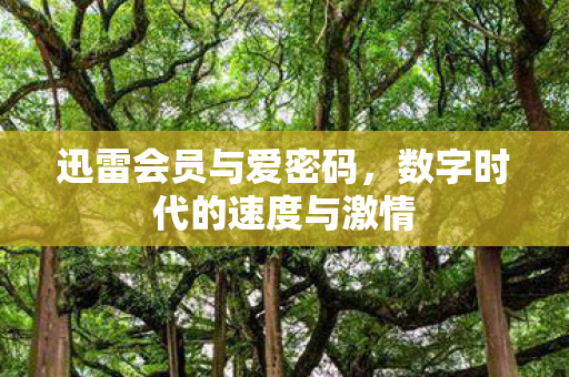 数字时代的速度与激情图片