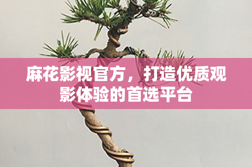 打造优质观影体验的首选平台图片
