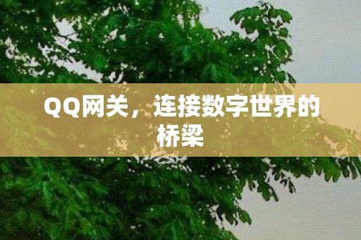 连接数字世界的桥梁图片