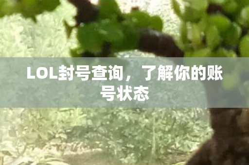 了解你的账号状态图片
