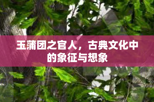 古典文化中的象征与想象图片