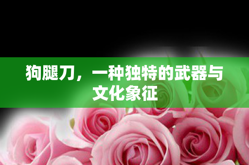 一种独特的武器与文化象征图片