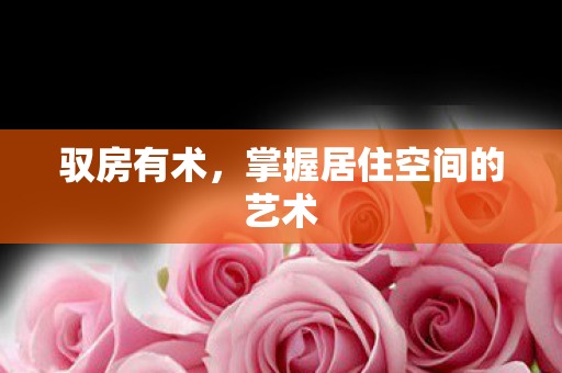 掌握居住空间的艺术图片