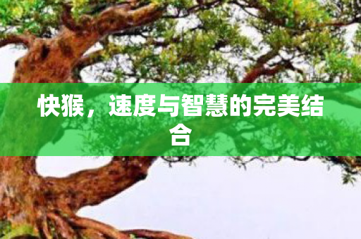 速度与智慧的完美结合图片