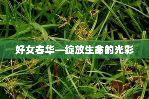 绽放生命的光彩图片