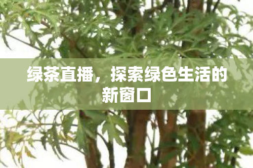 探索绿色生活的新窗口图片