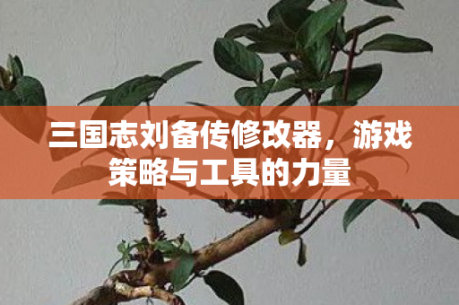 游戏策略与工具的力量图片