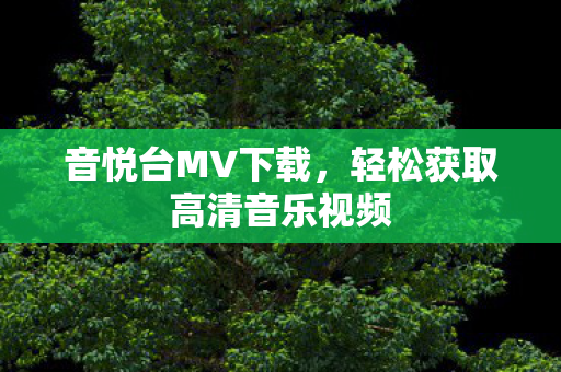 轻松获取高清音乐视频图片