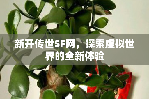 探索虚拟世界的全新体验图片