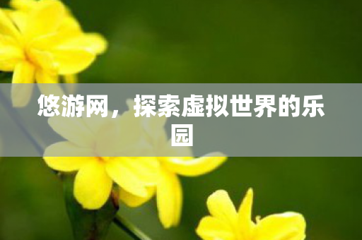 探索虚拟世界的乐园图片