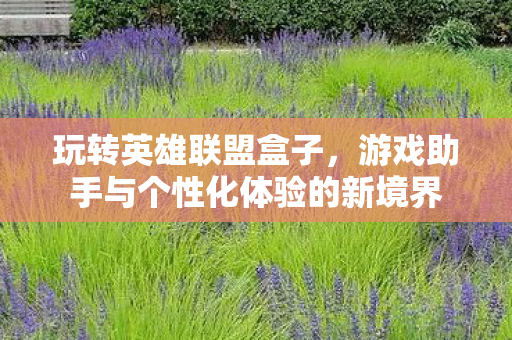 游戏助手与个性化体验的新境界图片
