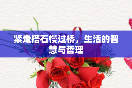 生活的智慧与哲理图片