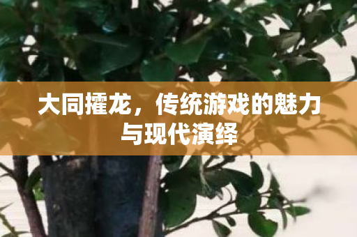 传统游戏的魅力与现代演绎图片