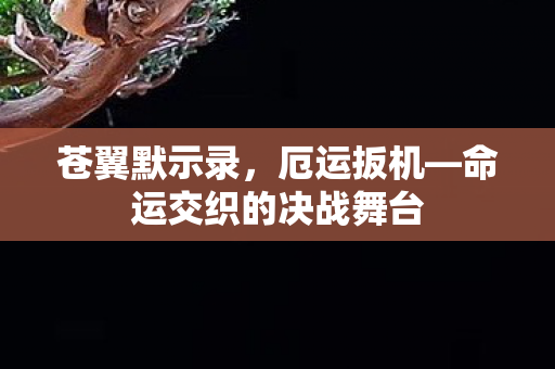 命运交织的决战舞台图片