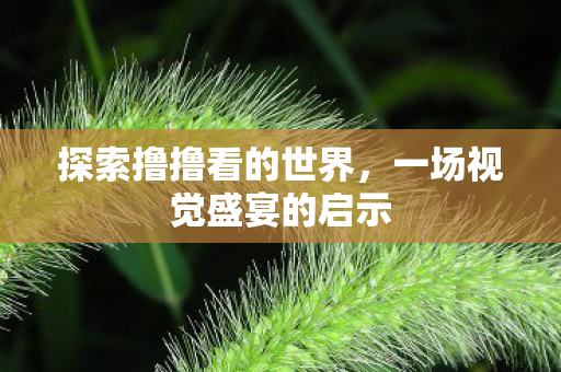 一场视觉盛宴的启示图片