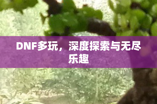 深度探索与无尽乐趣图片