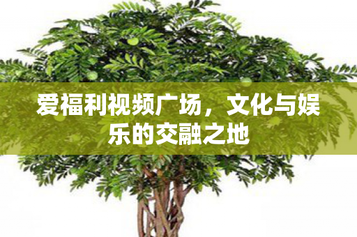 文化与娱乐的交融之地图片