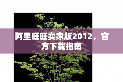 阿里旺旺卖家版2012图片