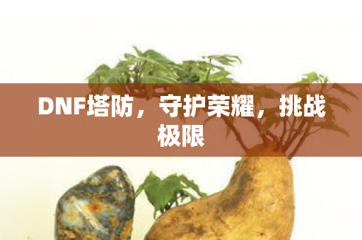 DNF塔防图片