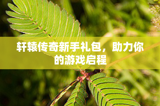 轩辕传奇新手礼包图片