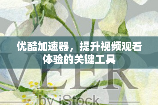 提升视频观看体验的关键工具图片