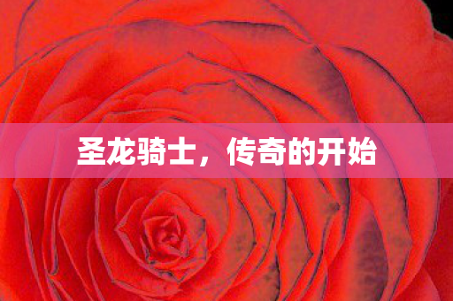 传奇的开始图片