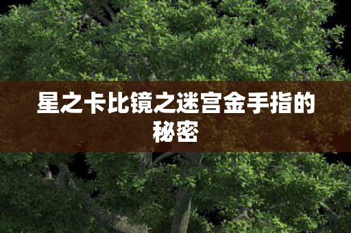 星之卡比镜之迷宫金手指的秘密图片