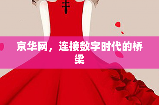 连接数字时代的桥梁图片