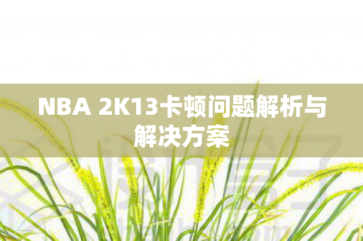 NBA 2K13卡顿问题解析与解决方案图片
