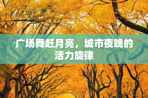 城市夜晚的活力旋律图片