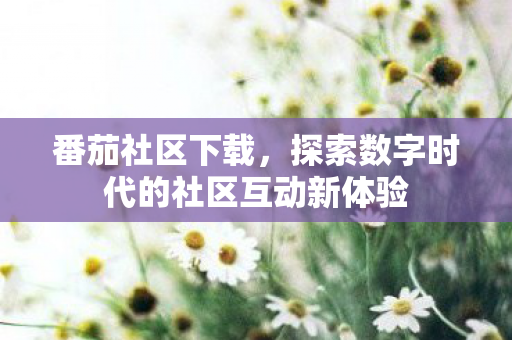 探索数字时代的社区互动新体验图片