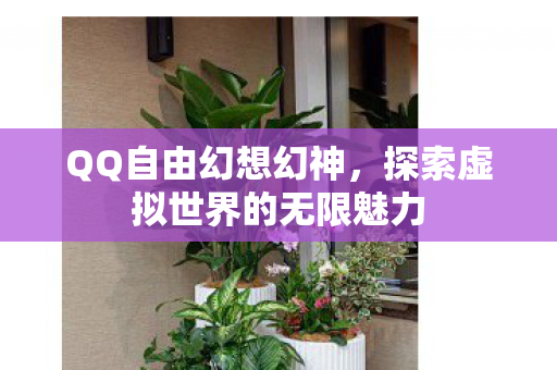探索虚拟世界的无限魅力图片