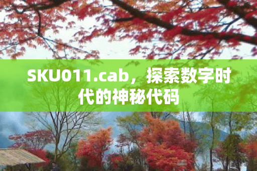 探索数字时代的神秘代码图片