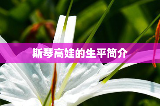 斯琴高娃的生平简介图片