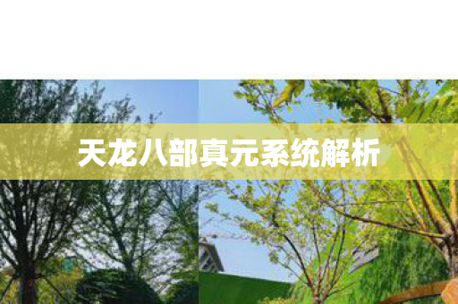 天龙八部真元系统解析图片
