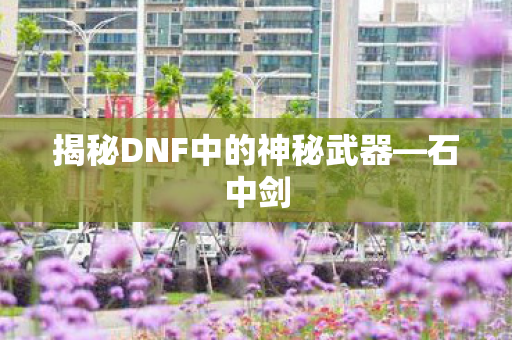 揭秘DNF中的神秘武器图片