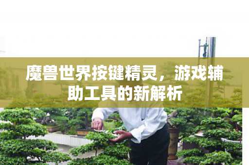 游戏辅助工具的新解析图片