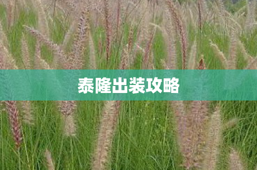 泰隆出装攻略图片