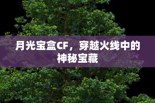 穿越火线中的神秘宝藏图片