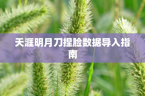 天涯明月刀捏脸数据导入指南图片