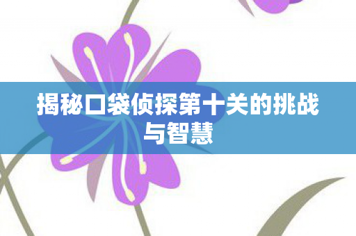 揭秘口袋侦探第十关的挑战与智慧图片